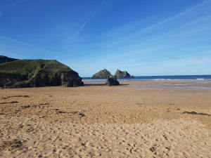 gull rocks beach