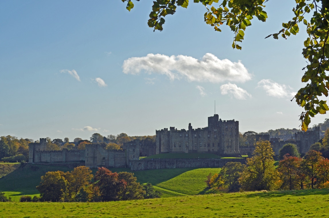 The View at Treetops / Lodges For sale Northumberland