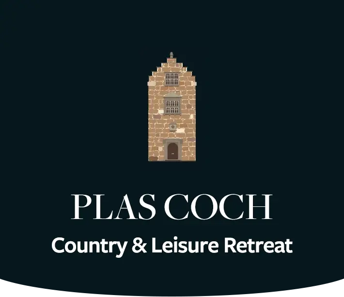 plas coch