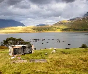 caravan in storm
