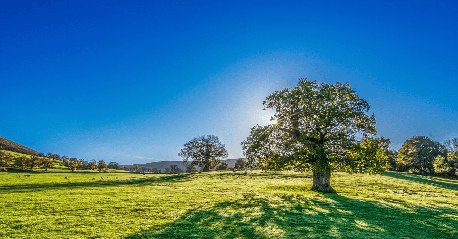 Yorkshire countryside