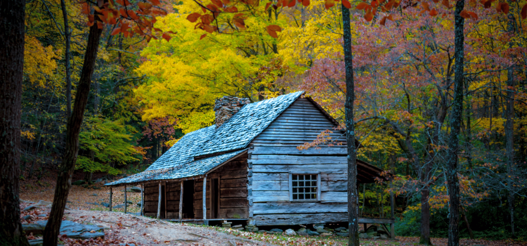 Log Cabins For Sale In The UK – The Ultimate Guide