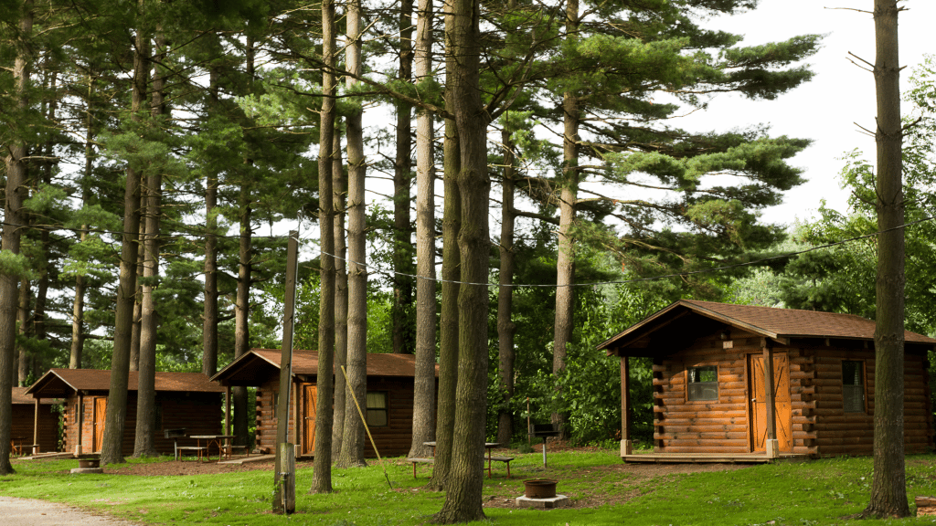 build a woodland cabin