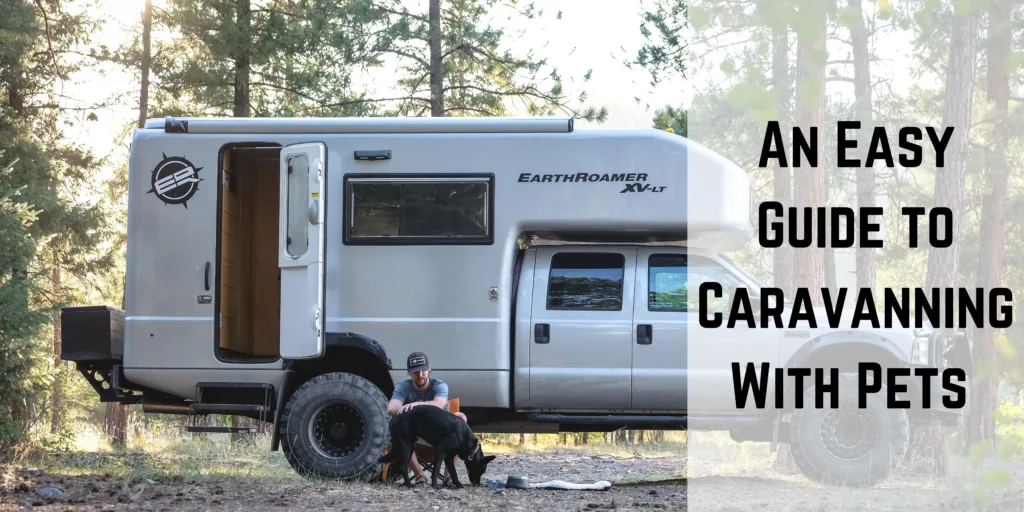 An easy guide to caravanning with pets