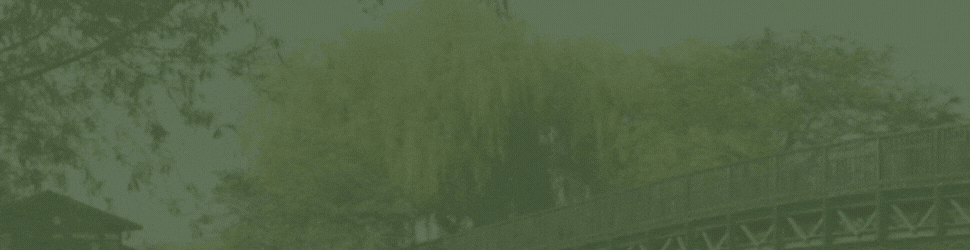 Get Notified For Top Luxury lodges