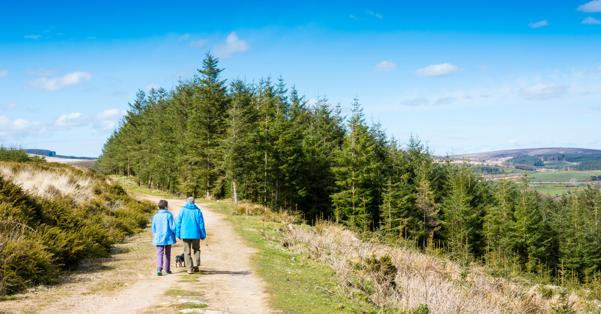 walking on Dartmoor