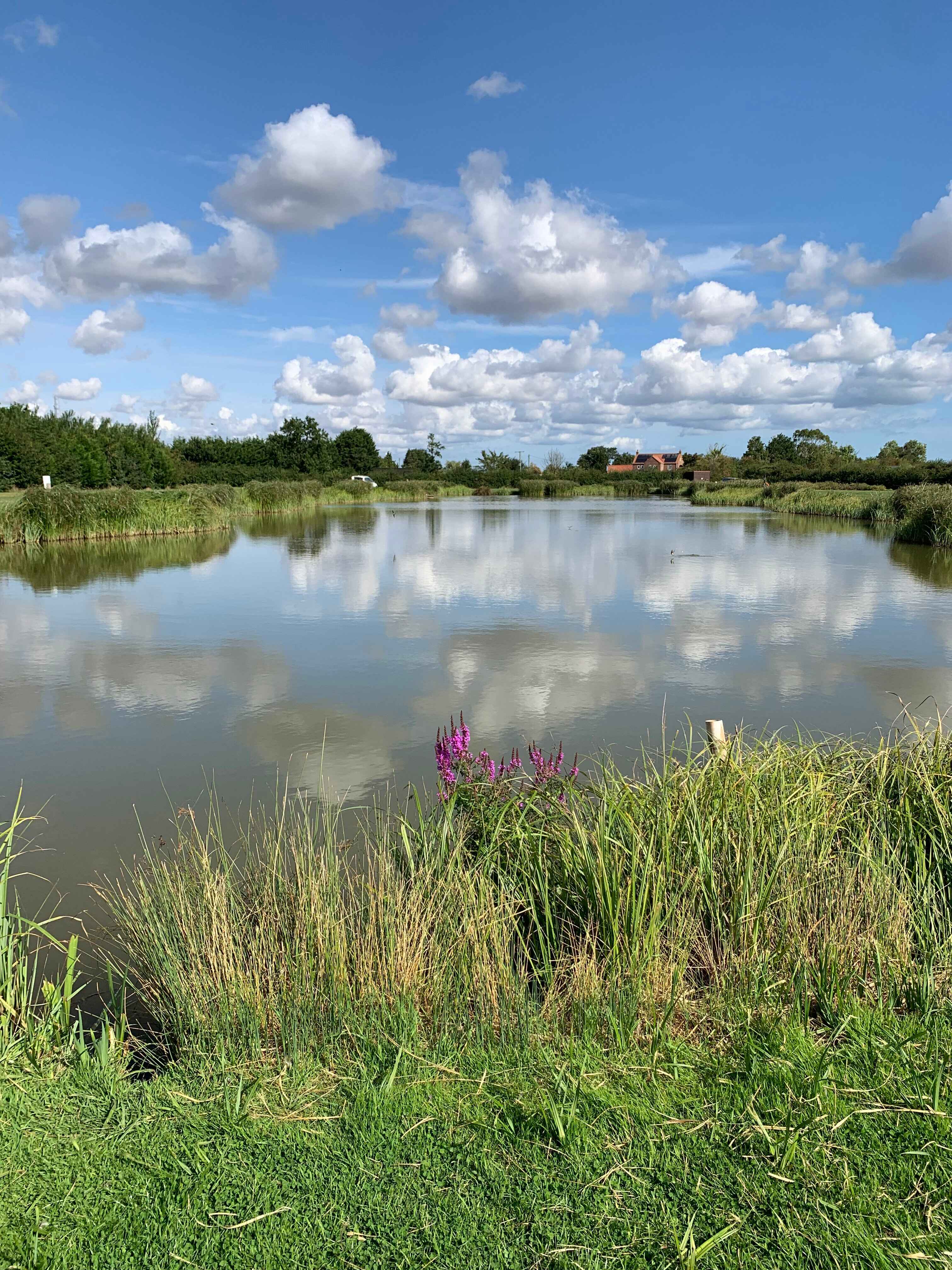 fishing lake at Rivulet