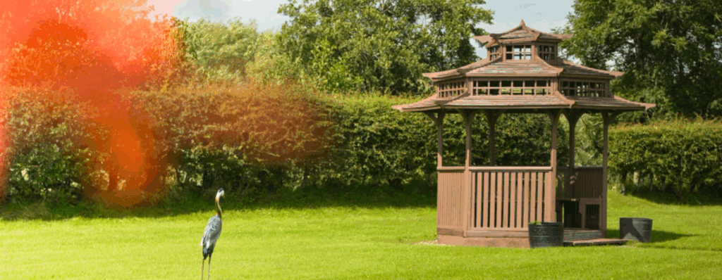 Peaceful park