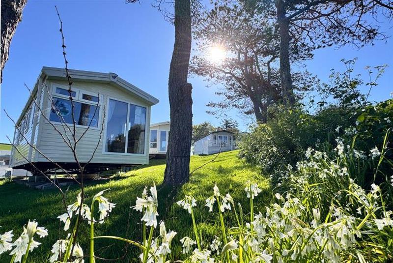 used static caravans for sale on site