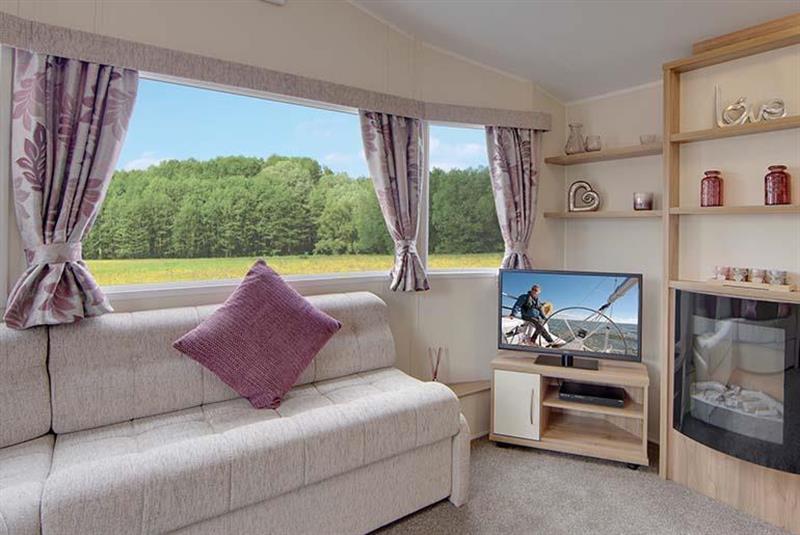 Preview of the first image of willerby-rio-gold-5.